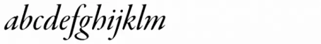 Garamond Premr Pro Display Med Italic