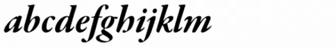 Garamond Premr Pro SubHead Bold Italic