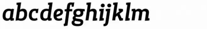 Gazeta Slab Medium Italic