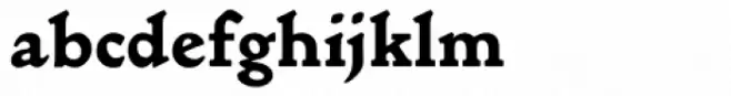 Golden Type Black