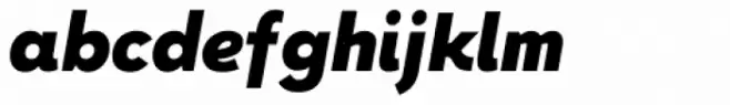 Halcyon Black Italic