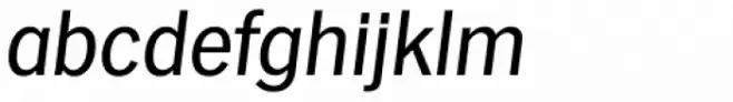 Hamburg Serial Italic