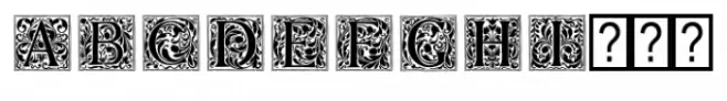 Illuminated Initials Regular