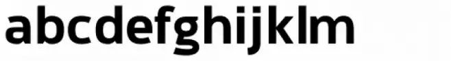 Informatic Bold