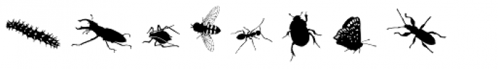 Insects