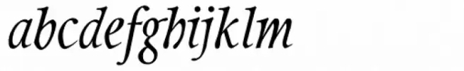 Integrity JY Bold Italic