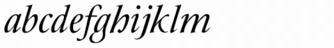 JY Rebeca Italic