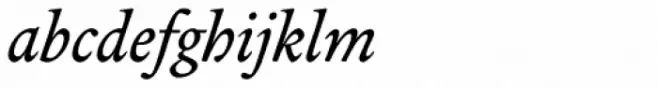 Legitima Italic