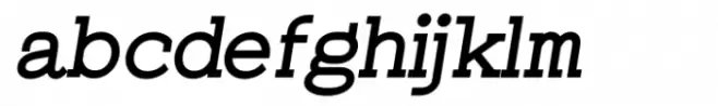 Leipzer Bold Italic