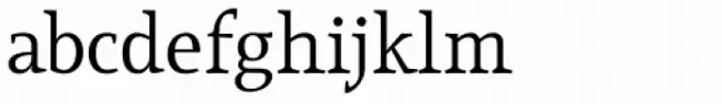Lineare Serif OSF Book