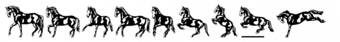 Linotype Dressage
