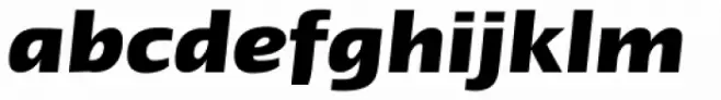 Linotype Ergo W1G Bold Italic
