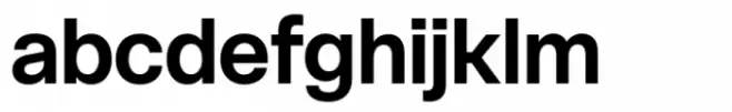 Live Grotesk Bold