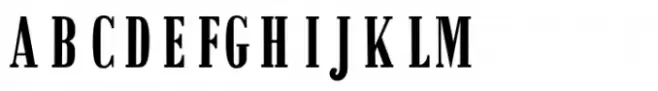 Malutzki Initials Letter Layer