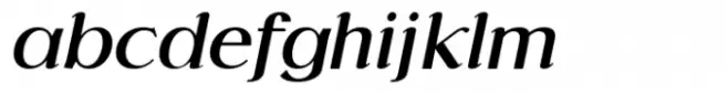 Marceaux Serif Heavy Italic