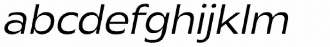 Mensa Exp Book Italic