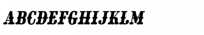 Mi Casa Solid SC Italic