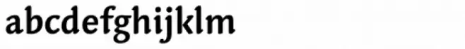 Midan Bold