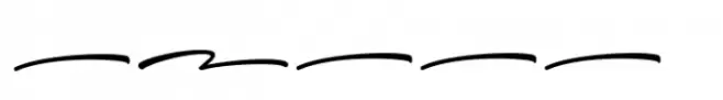 Minimalist Stylish Swashes