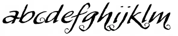 My Script Swashes