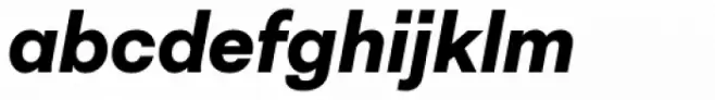 Neogrotesk Essential Alt Black Italic
