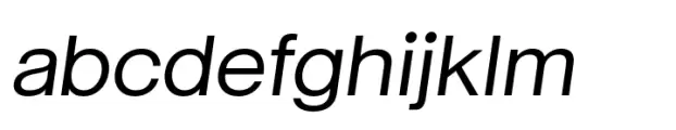 Neue June Italic