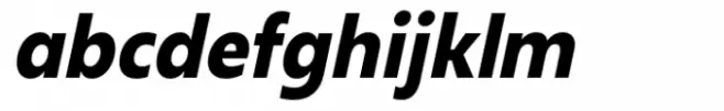 Neue Reman Gt Bold Semi Condensed Italic