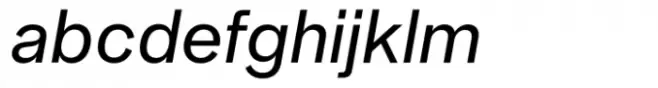 Neue Singular D Regular Italic