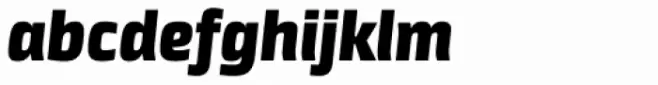 Neuron Angled Black Italic
