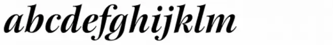 New Esprit Pro Display Bold Italic