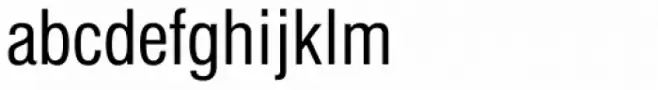 Newhouse DT Condensed