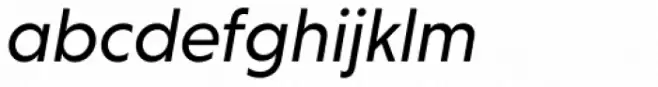 Niveau Grotesk Italic