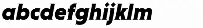 Niveau Serif Black Italic