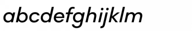 Noir No1 Std Medium Italic