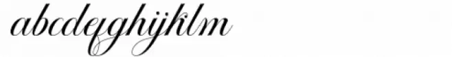 Octagon Calligraphy Regular