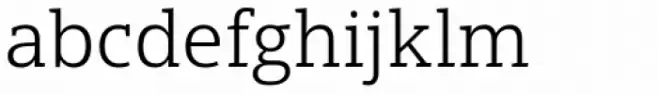 Open Serif Book