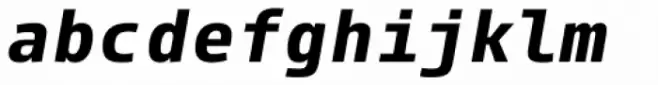 Paradroid Mono Bold Italic