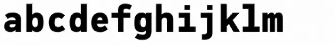 PF DIN Mono Bold