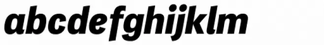 PF Das Grotesk Pro Black Italic