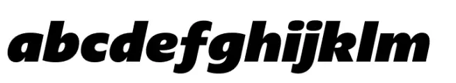 Plau Redonda Black Italic