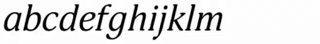 PT Adonis Italic