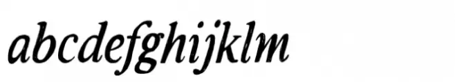 Rustic TC Italic