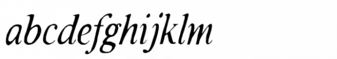 Rustic TC Solid Italic Light
