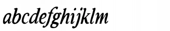 Rustic TC Solid Italic