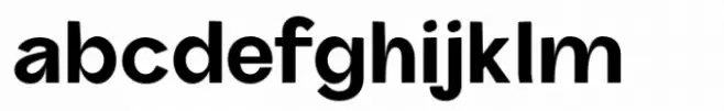 Saffron Grotesk Bold