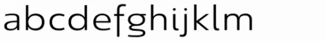 Savigny Regular Extended