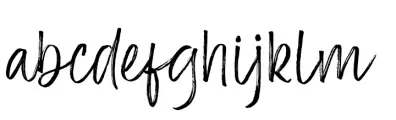 Saylon Brush Regular