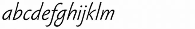 Sebastian Light Pro Italic