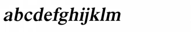 Shree Devanagari 1044 Italic