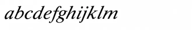 Shree Devanagari 1049 Bold Italic